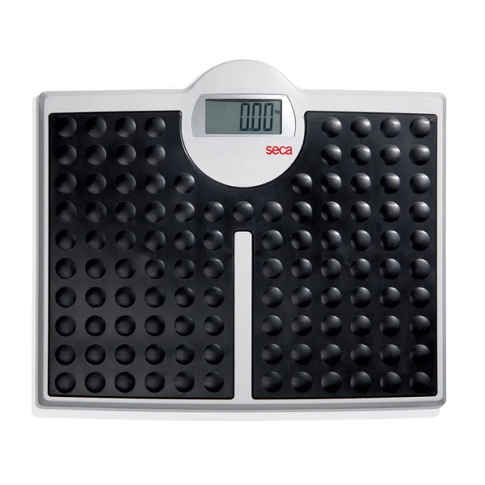 seca 813 High Capacity Digital Flat Scale for Individual Patient Use