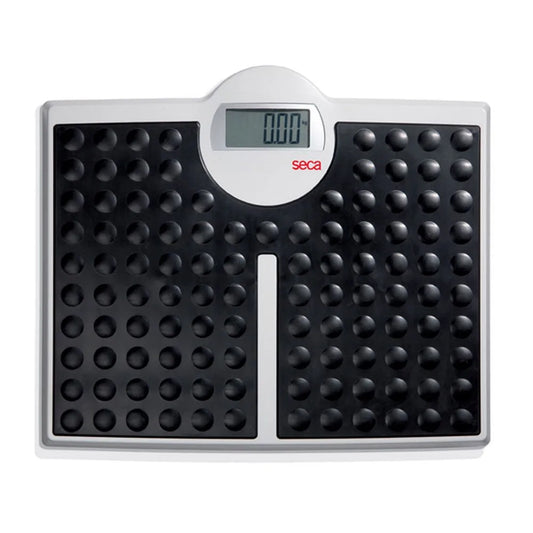 seca 813 High Capacity Digital Flat Scale for Individual Patient Use